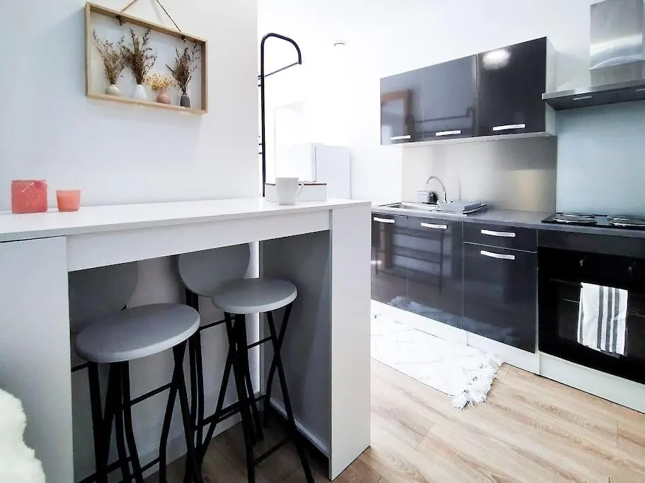 Apartment L'Isere Depuis Les Quais Romanais Romans-sur-Isere